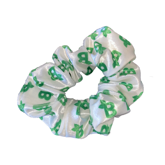 Free Scrunchie P5